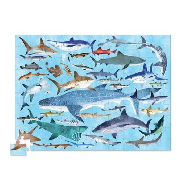 100-pc 36 Sharks - Image 2